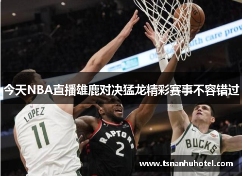 今天NBA直播雄鹿对决猛龙精彩赛事不容错过