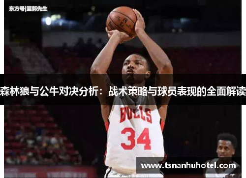 森林狼与公牛对决分析：战术策略与球员表现的全面解读