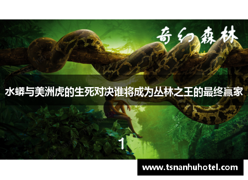 水蟒与美洲虎的生死对决谁将成为丛林之王的最终赢家